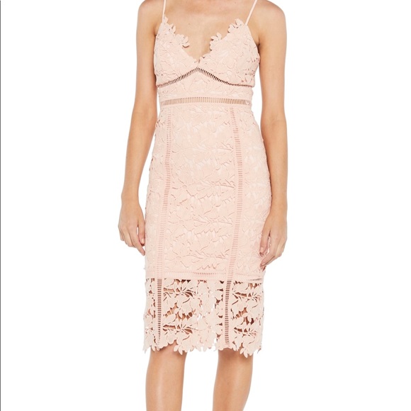 bardot lace dress nordstrom